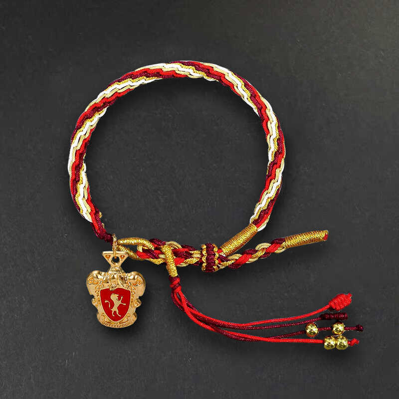 Harry Potter Bracelet, Slyther - огляд і ціна Model Kit Harry Potter
